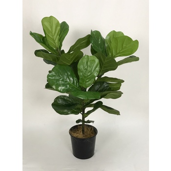 UV Fiddleleaf Tree