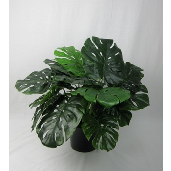 UV Triple Monsteria Plant