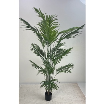 Palm-Hire